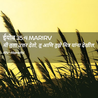 Picture 02 - ईयोब 35:4 MARIRV - मी तुला उत्तर देतो, - Bible Verse Picture