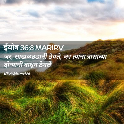 Picture 02 - ईयोब 36:8 MARIRV - जर, साखळदंडानी - Bible Verse Picture