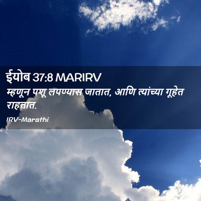 Picture 02 - ईयोब 37:8 MARIRV - म्हणून पशू - Bible Verse Picture