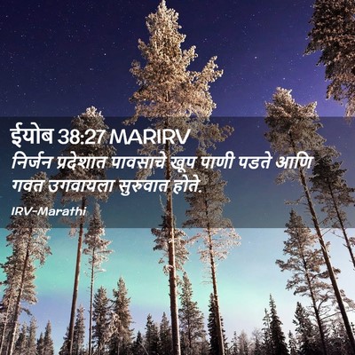 Picture 02 - ईयोब 38:27 MARIRV - निर्जन प्रदेशात - Bible Verse Picture