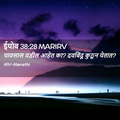 Picture 02 - ईयोब 38:28 MARIRV - पावसास वडील आहेत - Bible Verse Picture