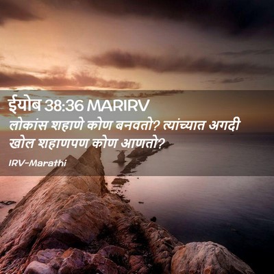Picture 02 - ईयोब 38:36 MARIRV - लोकांस शहाणे कोण - Bible Verse Picture