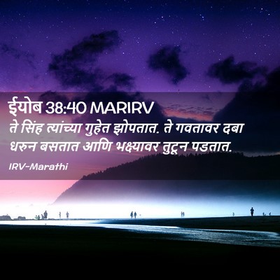 Picture 02 - ईयोब 38:40 MARIRV - ते सिंह त्यांच्या - Bible Verse Picture