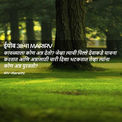 Picture 02 - ईयोब 38:41 MARIRV - कावळ्याला कोण - Bible Verse Picture