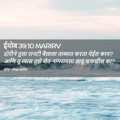 Picture 02 - ईयोब 39:10 MARIRV - दोरीने तुला रानटी - Bible Verse Picture