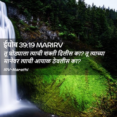 Picture 02 - ईयोब 39:19 MARIRV - तू घोड्याला - Bible Verse Picture