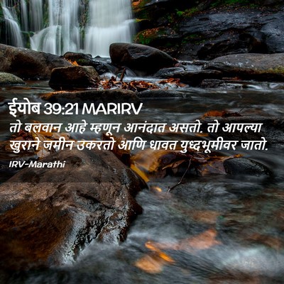 Picture 02 - ईयोब 39:21 MARIRV - तो बलवान आहे - Bible Verse Picture