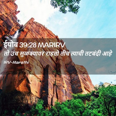 Picture 02 - ईयोब 39:28 MARIRV - तो उंच सुळक्यावर - Bible Verse Picture