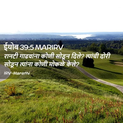 Picture 02 - ईयोब 39:5 MARIRV - रानटी गाढवांना - Bible Verse Picture