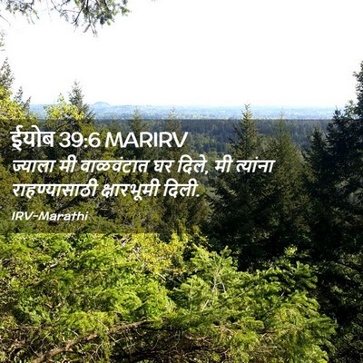 Picture 02 - ईयोब 39:6 MARIRV - ज्याला मी - Bible Verse Picture