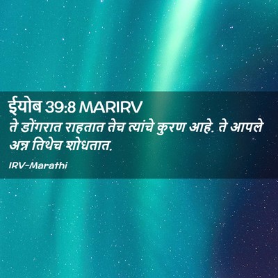 Picture 02 - ईयोब 39:8 MARIRV - ते डोंगरात राहतात - Bible Verse Picture