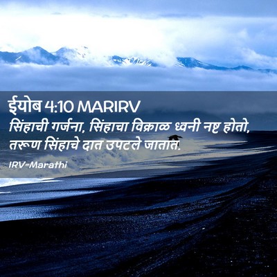 Picture 02 - ईयोब 4:10 MARIRV - सिंहाची गर्जना, - Bible Verse Picture