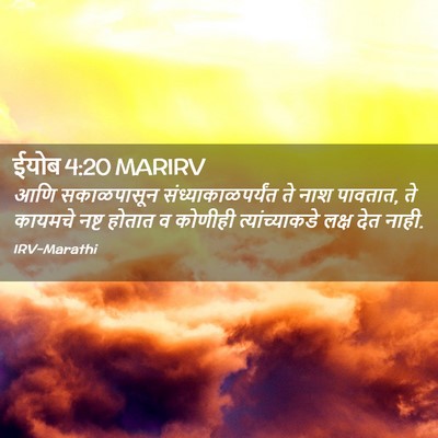 Picture 02 - ईयोब 4:20 MARIRV - आणि सकाळपासून - Bible Verse Picture