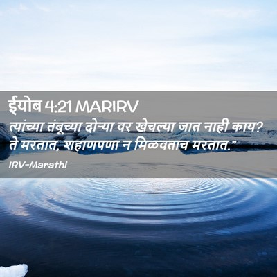 Picture 02 - ईयोब 4:21 MARIRV - त्यांच्या - Bible Verse Picture