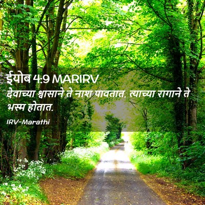 Picture 02 - ईयोब 4:9 MARIRV - देवाच्या श्वासाने - Bible Verse Picture