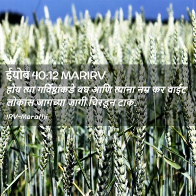 Picture 02 - ईयोब 40:12 MARIRV - होय त्या - Bible Verse Picture