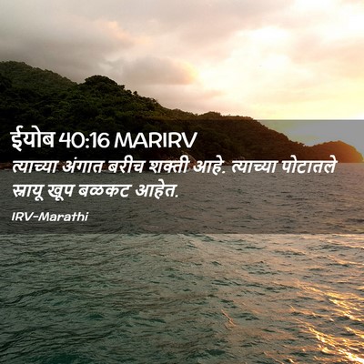 Picture 02 - ईयोब 40:16 MARIRV - त्याच्या अंगात - Bible Verse Picture
