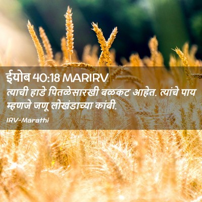 Picture 02 - ईयोब 40:18 MARIRV - त्याची हाडे - Bible Verse Picture