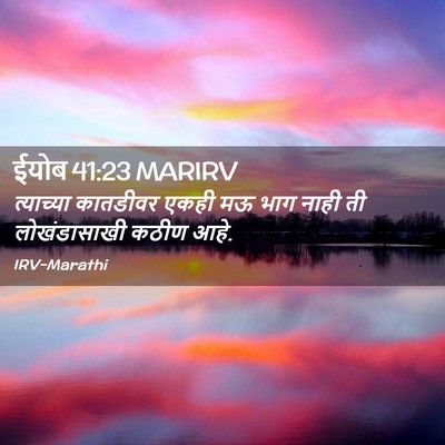 Picture 02 - ईयोब 41:23 MARIRV - त्याच्या कातडीवर - Bible Verse Picture