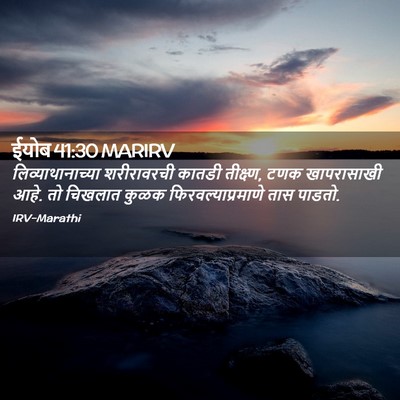 Picture 02 - ईयोब 41:30 MARIRV - लिव्याथानाच्या - Bible Verse Picture