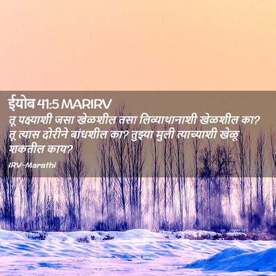 Picture 02 - ईयोब 41:5 MARIRV - तू पक्ष्याशी जसा - Bible Verse Picture