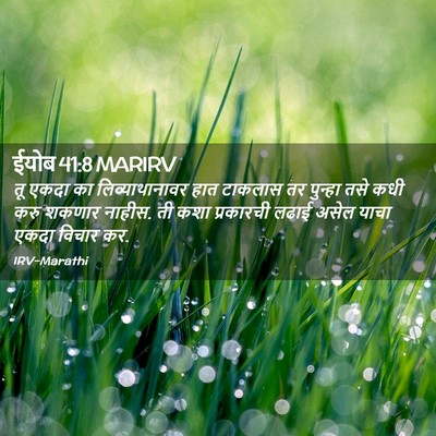 Picture 02 - ईयोब 41:8 MARIRV - तू एकदा का - Bible Verse Picture