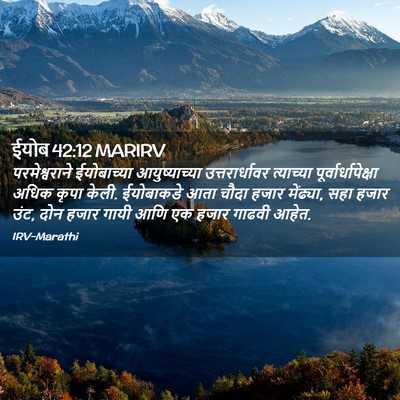 Picture 02 - ईयोब 42:12 MARIRV - परमेश्वराने - Bible Verse Picture