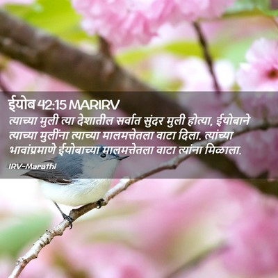 Picture 02 - ईयोब 42:15 MARIRV - त्याच्या मुली - Bible Verse Picture