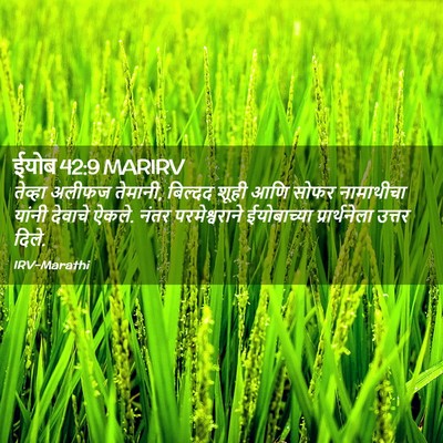 Picture 02 - ईयोब 42:9 MARIRV - तेव्हा अलीफज - Bible Verse Picture