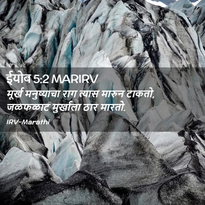 Picture 02 - ईयोब 5:2 MARIRV - मूर्ख मनुष्याचा - Bible Verse Picture