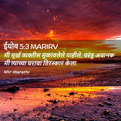 Picture 02 - ईयोब 5:3 MARIRV - मी मूर्ख व्यक्तीस - Bible Verse Picture