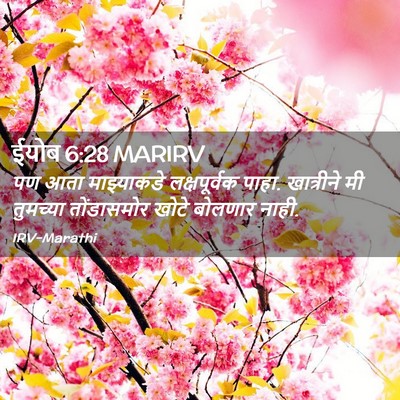 Picture 02 - ईयोब 6:28 MARIRV - पण आता माझ्याकडे - Bible Verse Picture