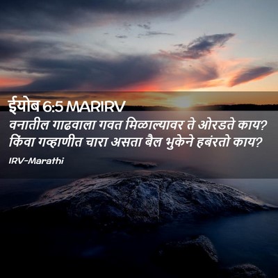 Picture 02 - ईयोब 6:5 MARIRV - वनातील गाढवाला - Bible Verse Picture
