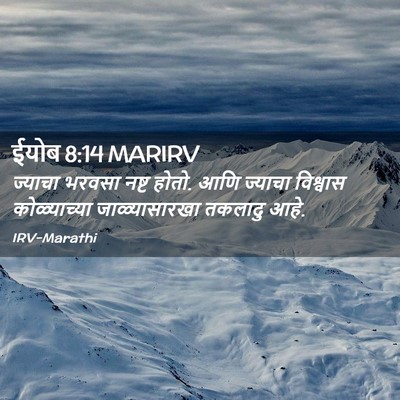 Picture 02 - ईयोब 8:14 MARIRV - ज्याचा भरवसा नष्ट - Bible Verse Picture