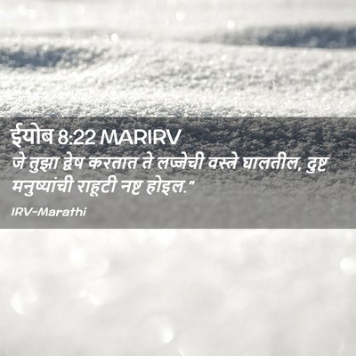 Picture 02 - ईयोब 8:22 MARIRV - जे तुझा द्वेष - Bible Verse Picture