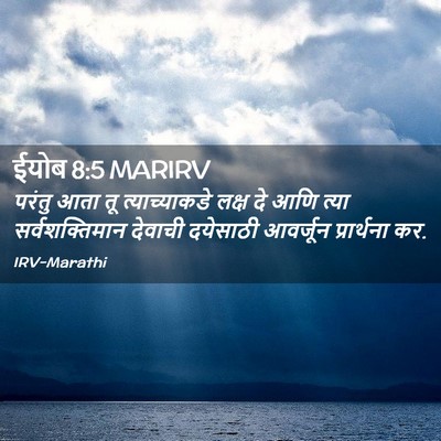 Picture 02 - ईयोब 8:5 MARIRV - परंतु आता तू - Bible Verse Picture