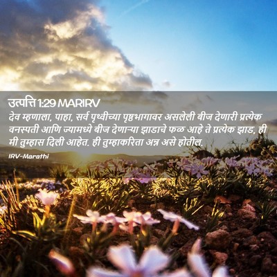 Picture 02 - उत्पत्ति 1:29 MARIRV - देव म्हणाला, पाहा, - Bible Verse Picture