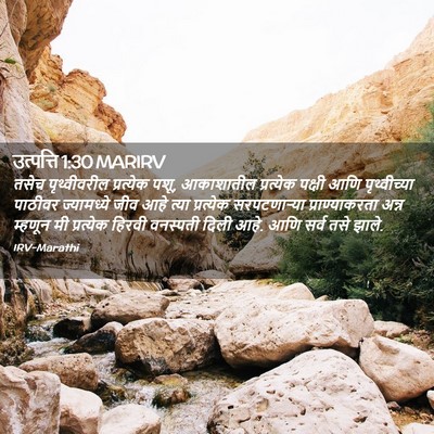 Picture 02 - उत्पत्ति 1:30 MARIRV - तसेच पृथ्वीवरील - Bible Verse Picture