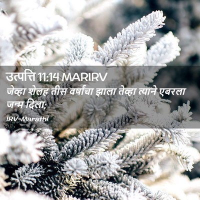 Picture 02 - उत्पत्ति 11:14 MARIRV - जेव्हा शेलह तीस - Bible Verse Picture