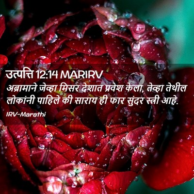Picture 02 - उत्पत्ति 12:14 MARIRV - अब्रामाने जेव्हा - Bible Verse Picture