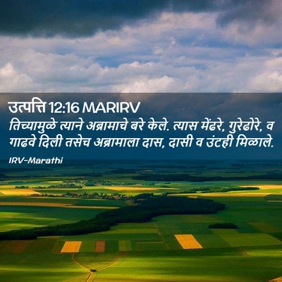 Picture 02 - उत्पत्ति 12:16 MARIRV - तिच्यामुळे त्याने - Bible Verse Picture