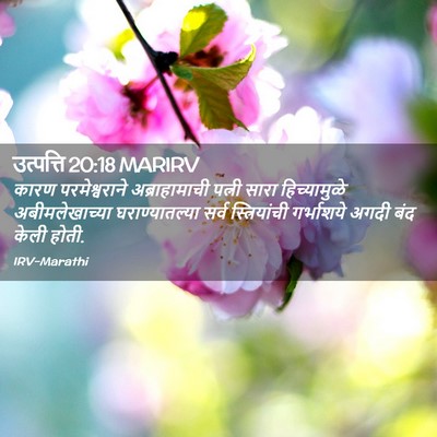 Picture 02 - उत्पत्ति 20:18 MARIRV - कारण परमेश्वराने - Bible Verse Picture
