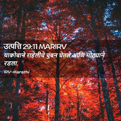 Picture 02 - उत्पत्ति 29:11 MARIRV - याकोबाने राहेलीचे - Bible Verse Picture