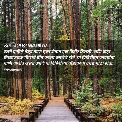 Picture 02 - उत्पत्ति 29:2 MARIRV - त्याने पाहिले - Bible Verse Picture