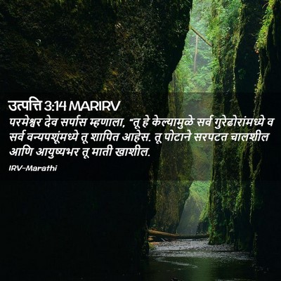 Picture 02 - उत्पत्ति 3:14 MARIRV - परमेश्वर देव - Bible Verse Picture