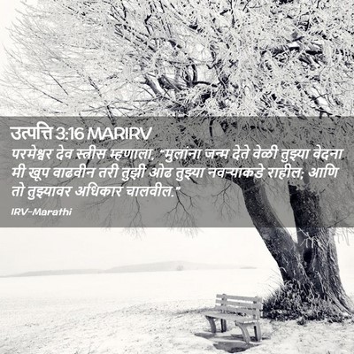 Picture 02 - उत्पत्ति 3:16 MARIRV - परमेश्वर देव - Bible Verse Picture