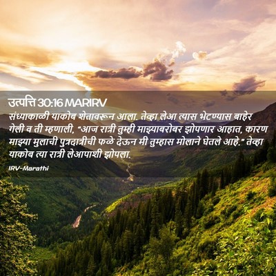 Picture 02 - उत्पत्ति 30:16 MARIRV - संध्याकाळी याकोब - Bible Verse Picture
