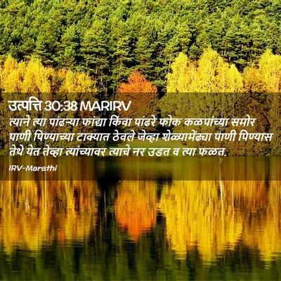 Picture 02 - उत्पत्ति 30:38 MARIRV - त्याने त्या - Bible Verse Picture