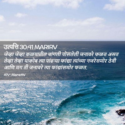 Picture 02 - उत्पत्ति 30:41 MARIRV - जेव्हा जेव्हा - Bible Verse Picture
