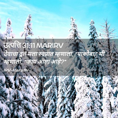 Picture 02 - उत्पत्ति 31:11 MARIRV - देवाचा दूत मला - Bible Verse Picture